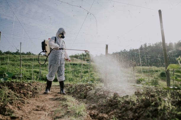 Best Best Pest Control Companies  in Glen Lyon, PA