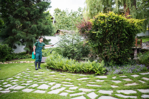 Best Local Pest Control Services  in Glen Lyon, PA