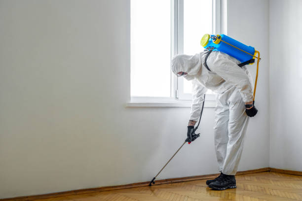 Best Pest Prevention Services  in Glen Lyon, PA