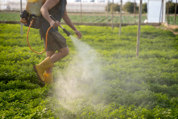 Best Mosquito Control Services  in Glen Lyon, PA