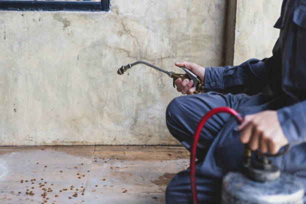 Best Emergency Pest Control  in Glen Lyon, PA