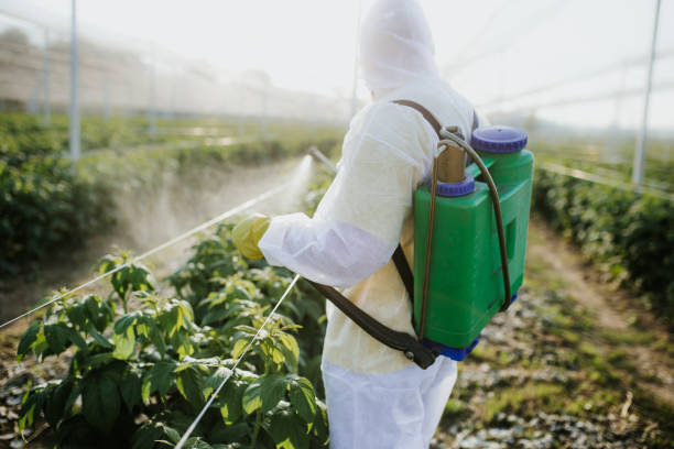 Best Flea Control Services  in Glen Lyon, PA